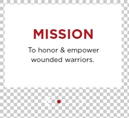 2023-Annual Report_MissionVision